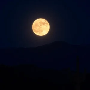 The Harvest Moon rising over Tucson with Sabino Canyon in the foreground.