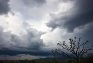 Storm clouds over Tucson with strong winds affecting the landscape
